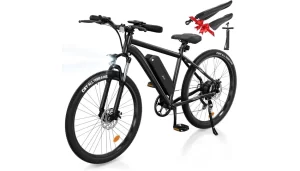 Finbike M10